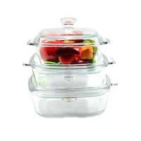 Glass Stockpot With Glass Cover